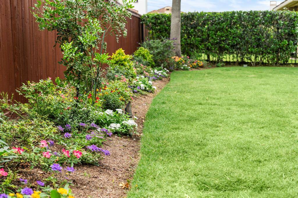 Vibrant flowers add a splash of color and charm to the backyard, enhancing the outdoor space with natural beauty and seasonal interest.