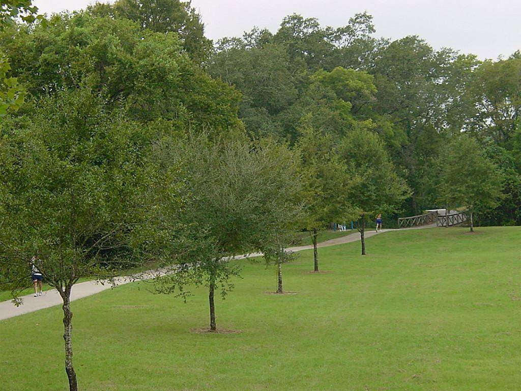 Terry Hershey Park is close by for jogging, bike rides, leisurely walks.
