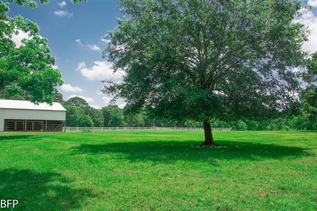 Beautiful, wide open pasture.