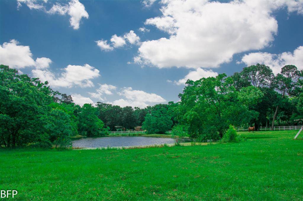 Relax around this pond.  Stock it yourself.