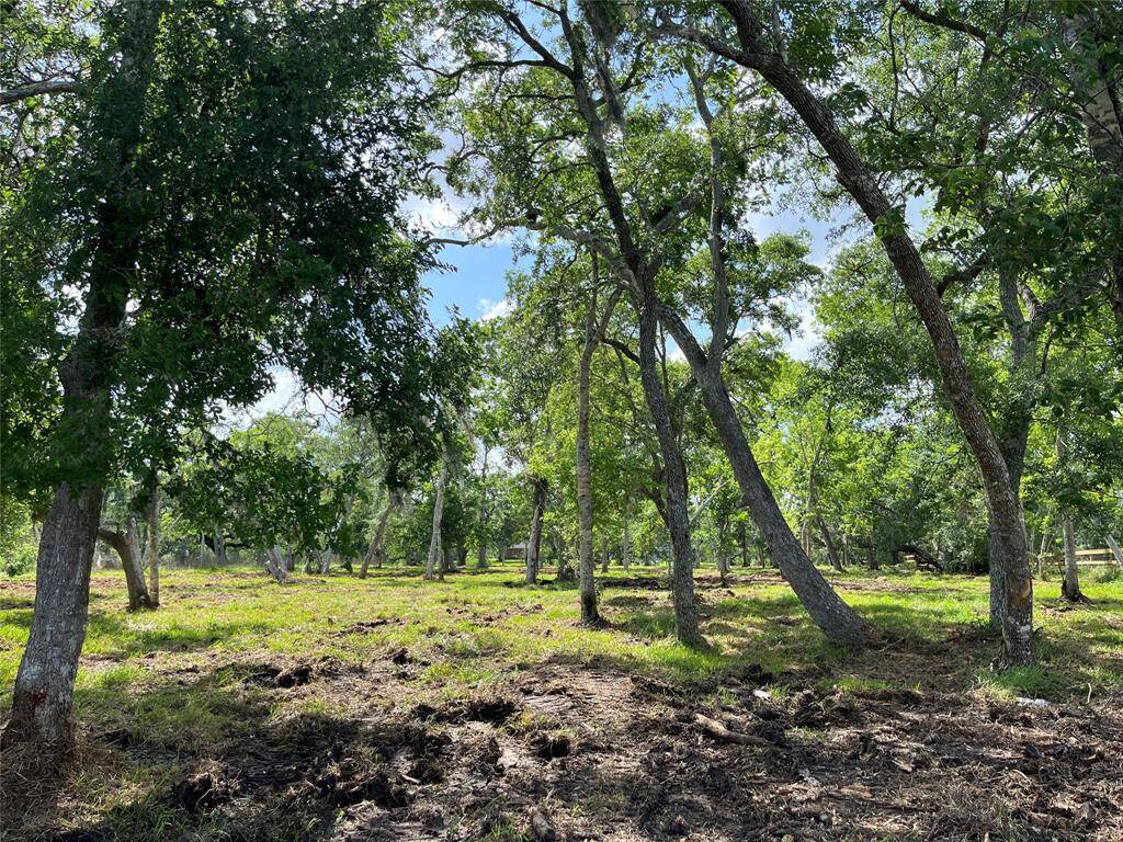 This is more toward the middle of the lots where you'd build your home(s). We're sort of between both of them. There are lots of mature oak trees.