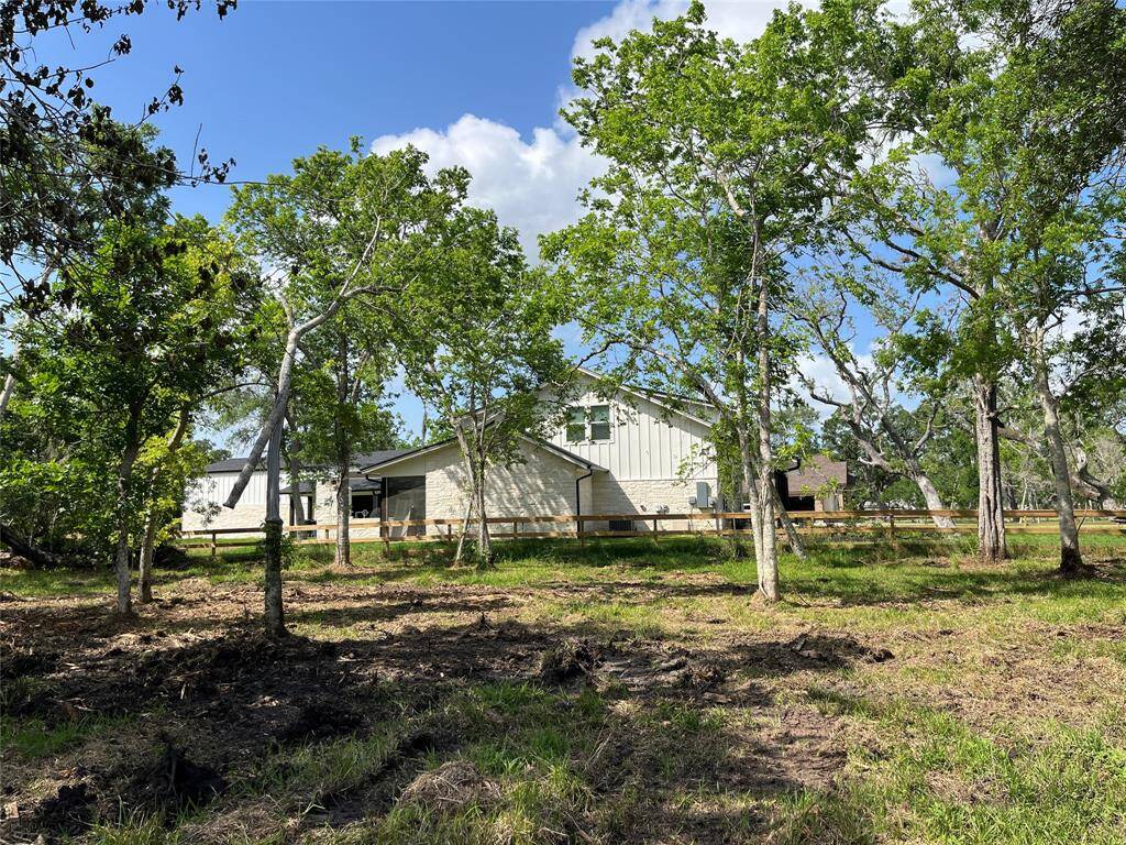 The last picture was taken at this spot, but if we turn to face the back of the lot. That's the most likely homesite area.