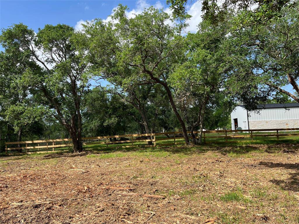 This is taken beyond the halfway point of  your lot, looking toward the neighbor's property to the north.