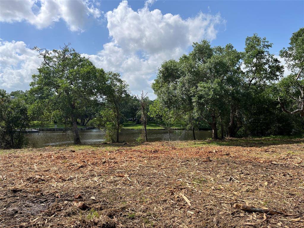 You can see the water here. You have access to Bastrop Bayou and your property will face a large homestead that sits on three lots, so there's a lot of greenspace and only one neighbor across the way.