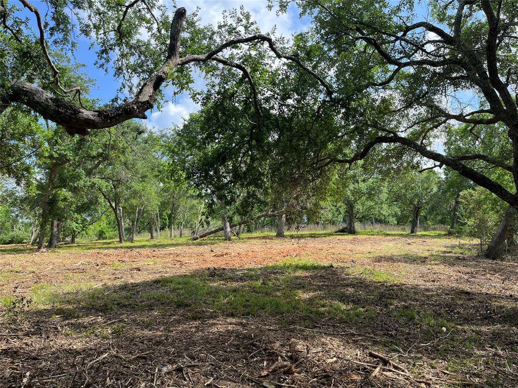 We are looking across the back part of the property, through Lot 80 and into Lot 81.