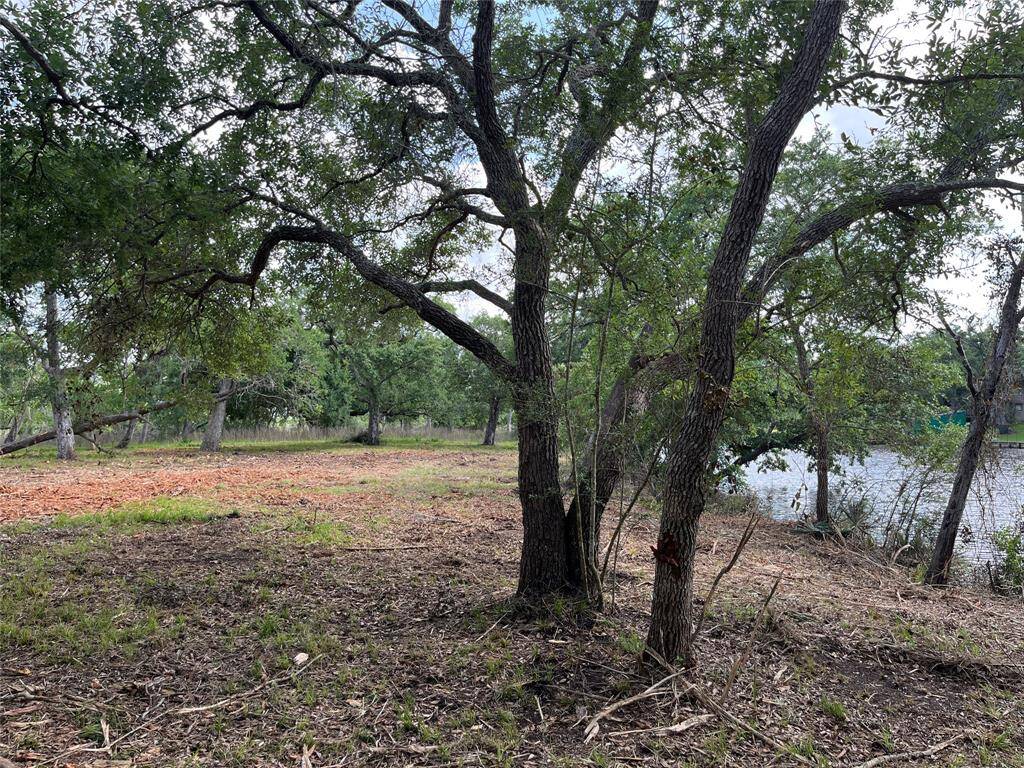 This is the same view but a little closer to the water so you can see across the back of the two lots. You can see where the mow line is to define the edge of Lot 81.