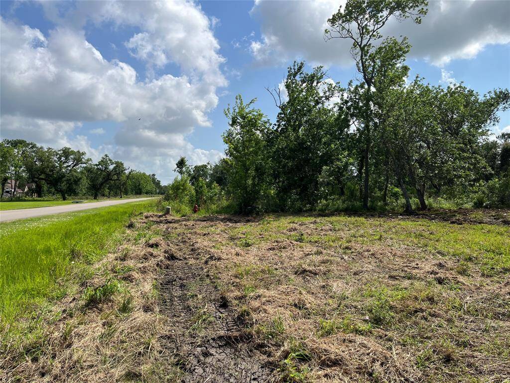 This is looking south toward the park. You have a fire hydrant and utilities right at the southern corner of Lot 79, so that helps with your insurance.