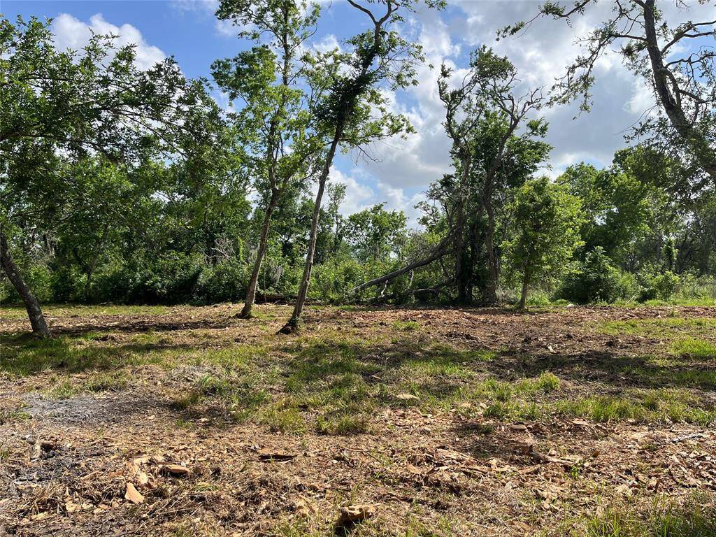 You can see the property line on the south side where the clearing ends.