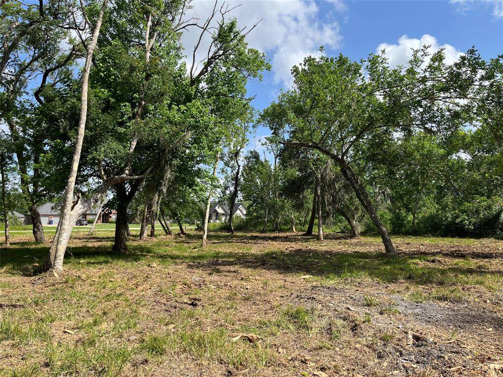 We are up near the building line at the front of the lot. You can have trees between the house and the street.