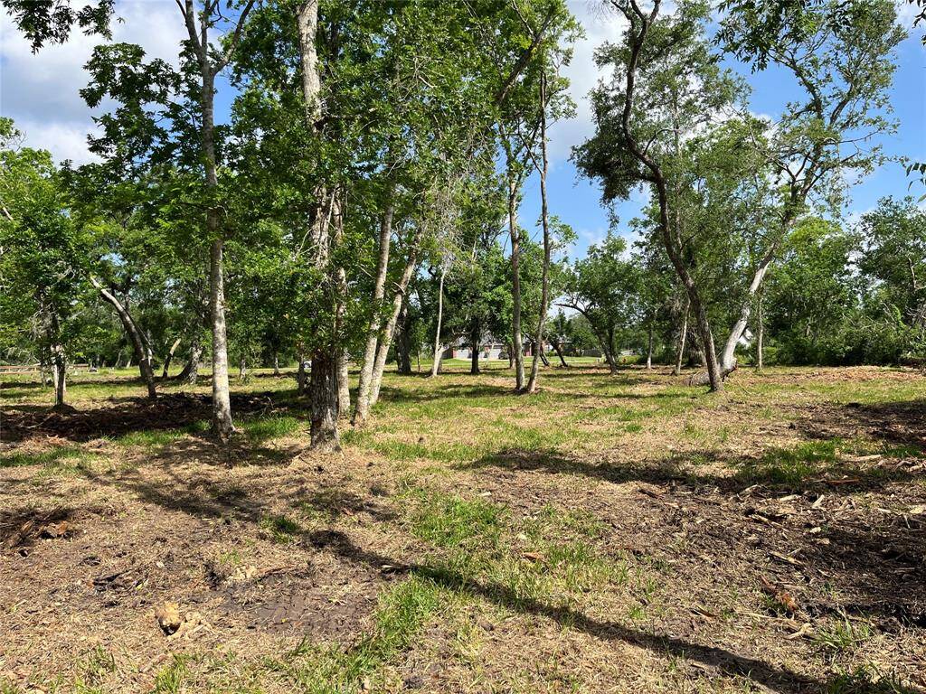This is taken more toward the middle of the lot and we are in Lot 80, looking to the right into Lot 81.