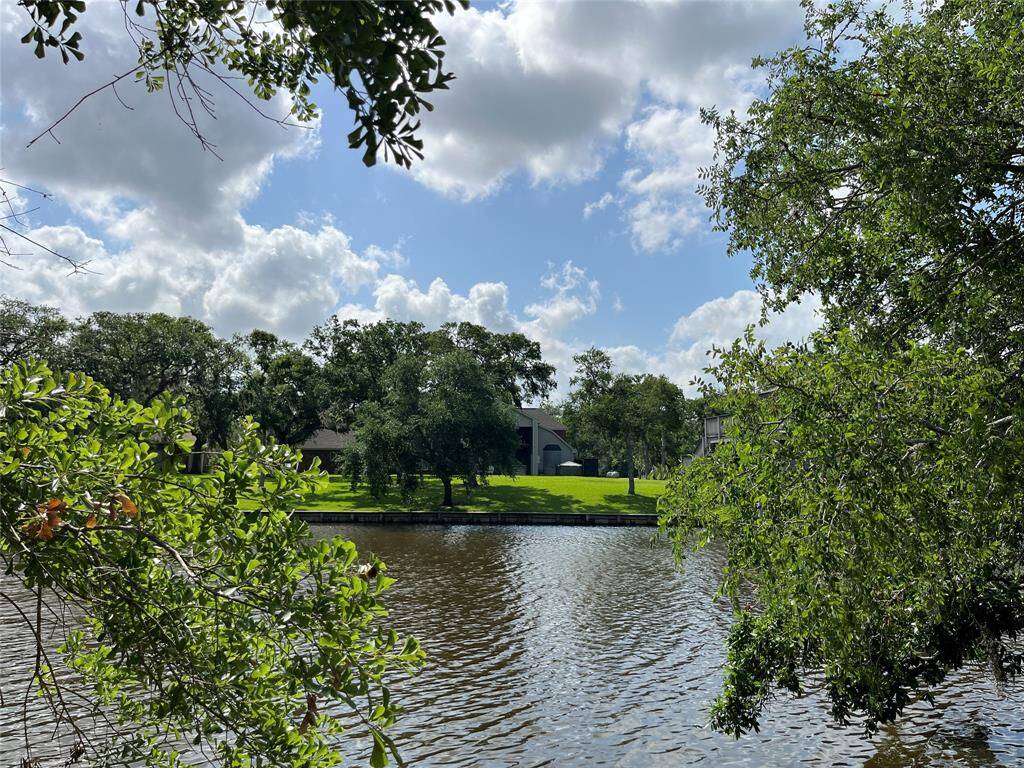 Here's another view from the back of your property, looking across Bastrop Bayou toward your neighbor.