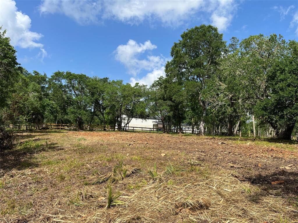 We are on the south side near the back of the lot, looking across Lot 80, toward the neighboring home.