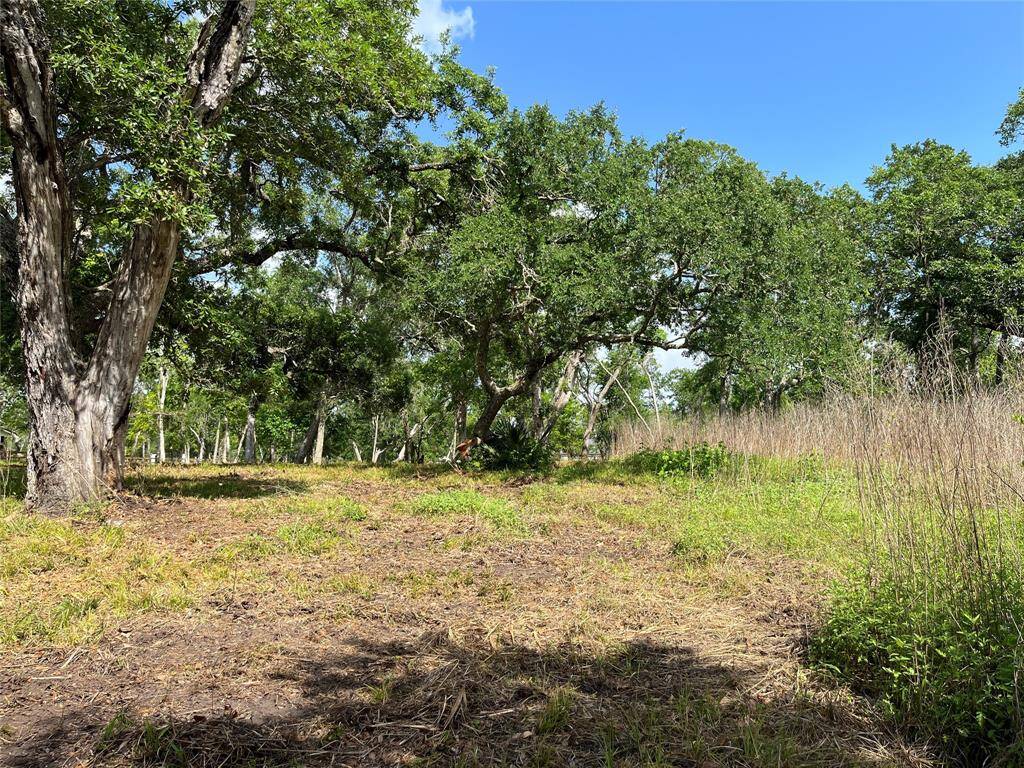 We are near the rear corner of the lot on the south side, looking toward the street.