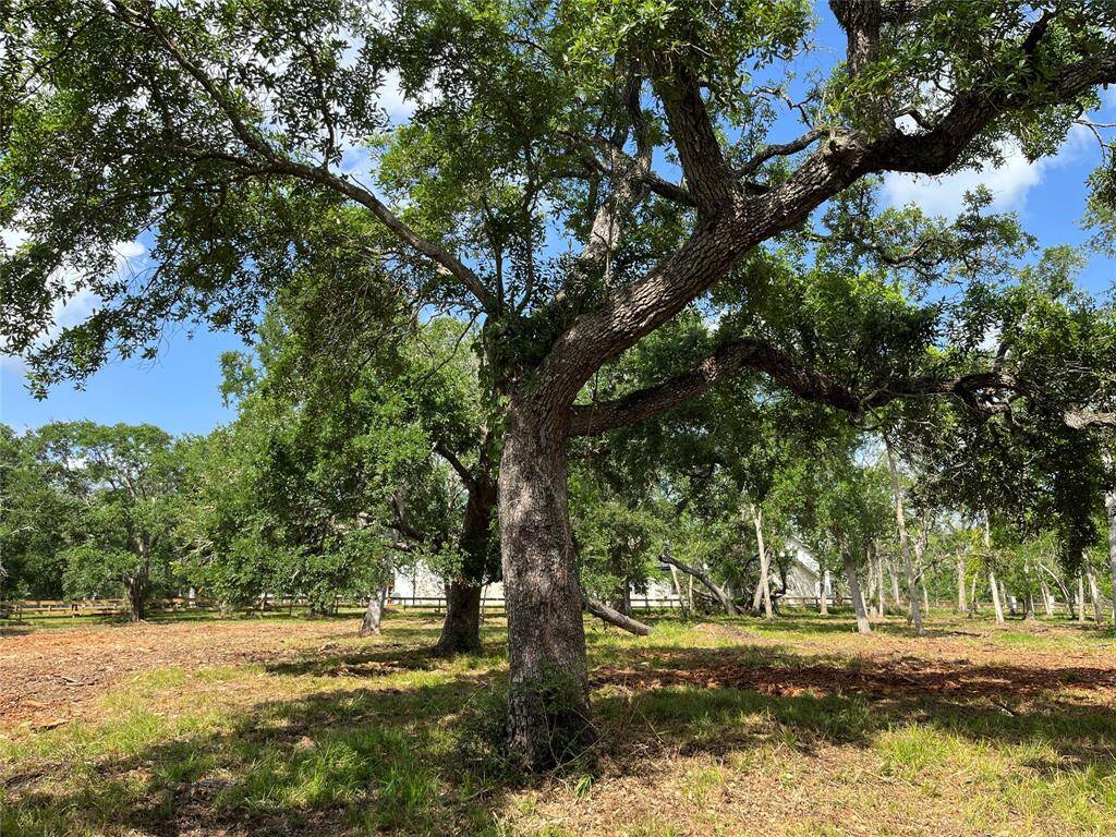 We are near the middle of the lot. There are some beautiful oak trees and lots of space to build on.