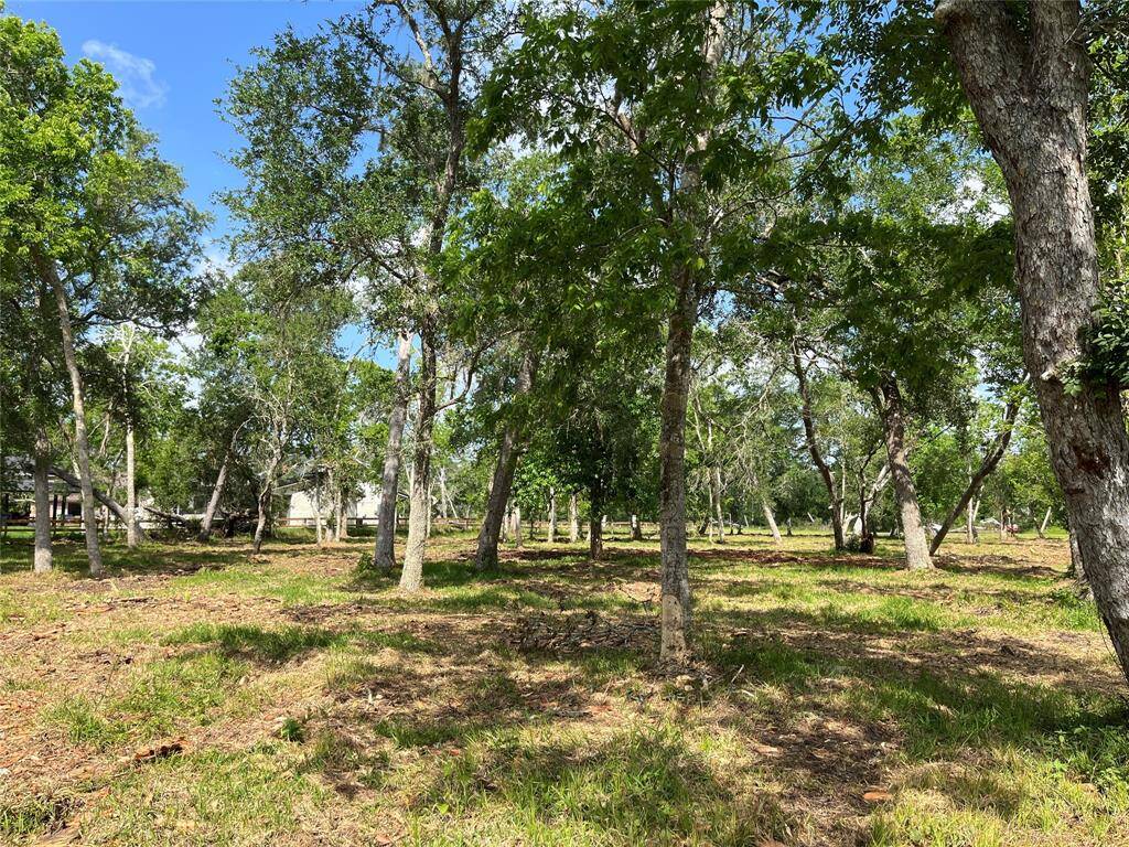 We are close to the 100' building line in front, looking toward the north across both lots.
