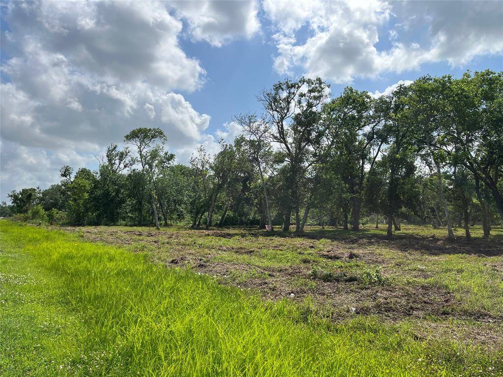 This shows part of the two lots at the street. Your lot is to the far left. You can see the property line is where it gets brushy on the other side.