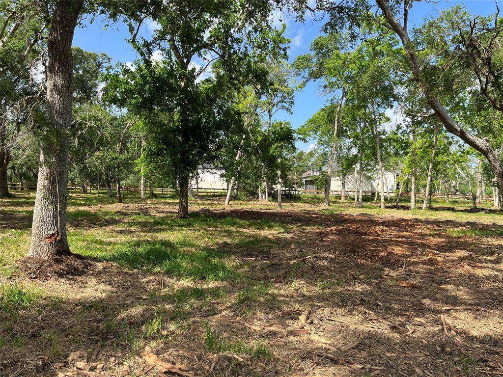 We are about 3/4 of the way deep into the lot, looking across both lots to the north.