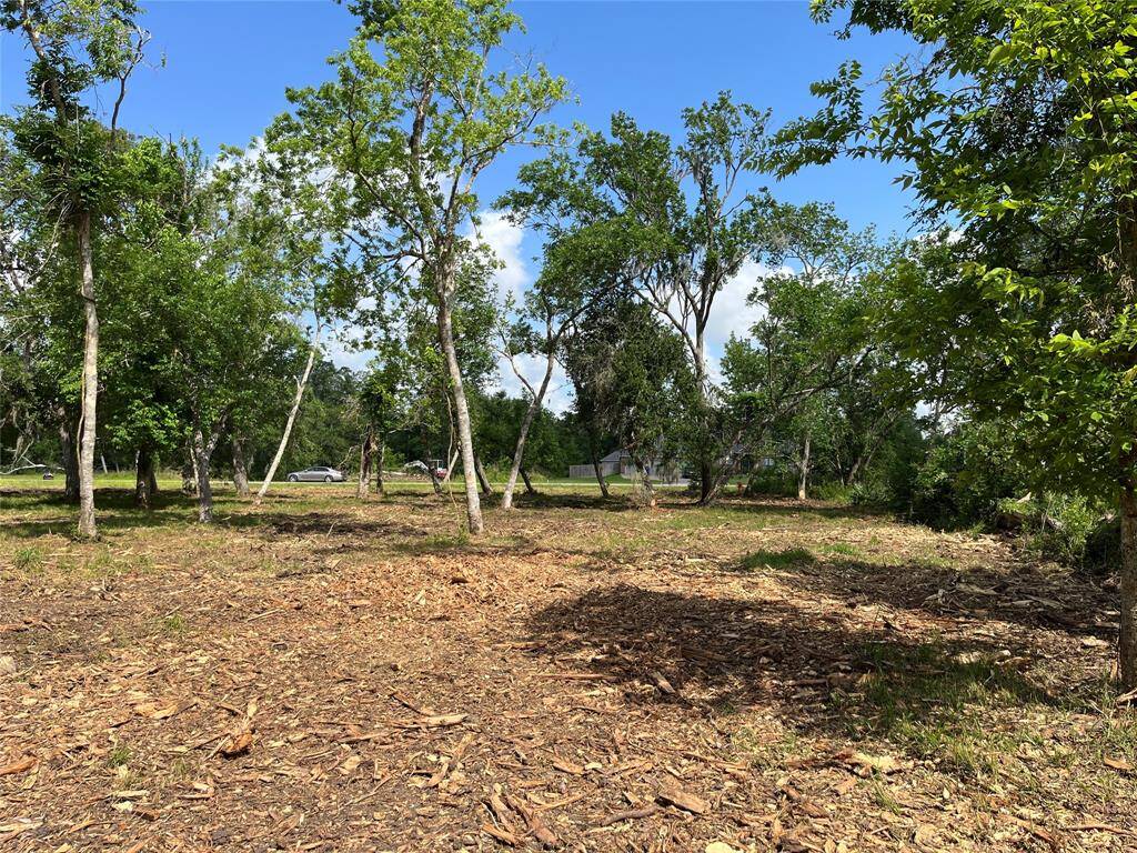 We are getting closer to the front of the lot, looking toward the street. This is about where you'd build a home.