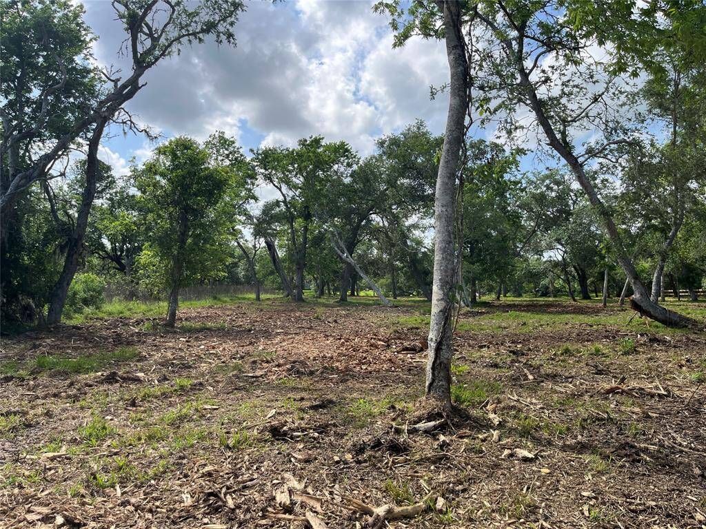 We are in the same spot, but turned around to look back toward the bayou. The open area is where a home site would fit nicely.