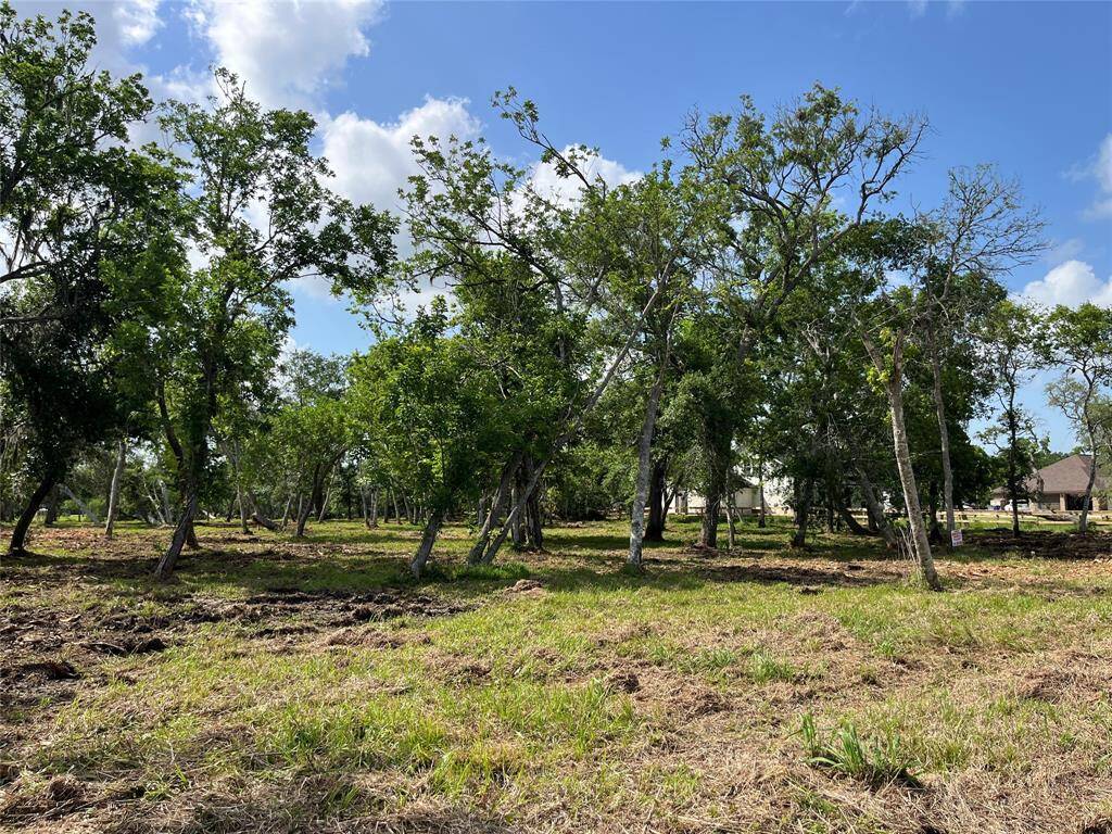We are in the same spot, but are now facing north, looking over Lot 81 and into Lot 80 by the neighbor's fence. The clearing sign is in about the middle of the property.