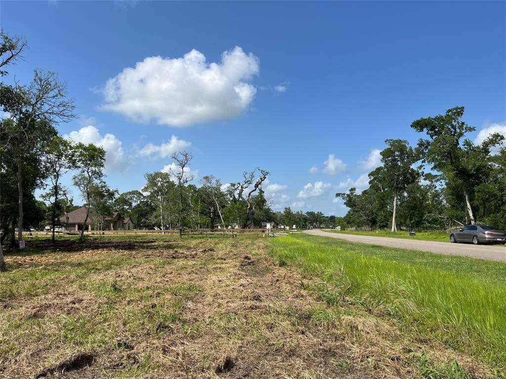 We are by the front ditch now, looking north toward the street.