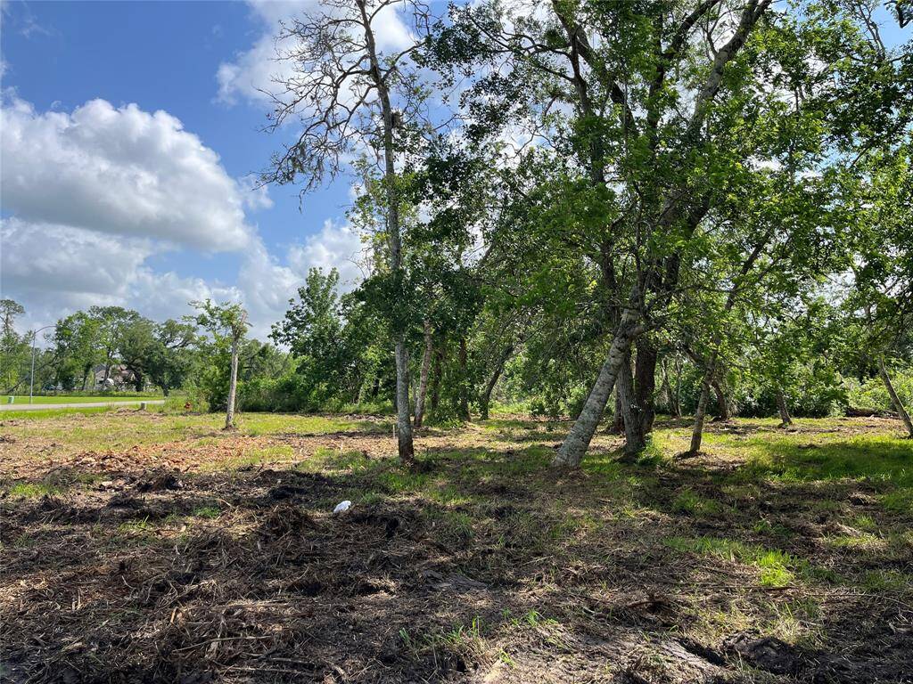 We are looking to the south, just inside the treeline on your lot. There's a 100' building line at the front and in the back.