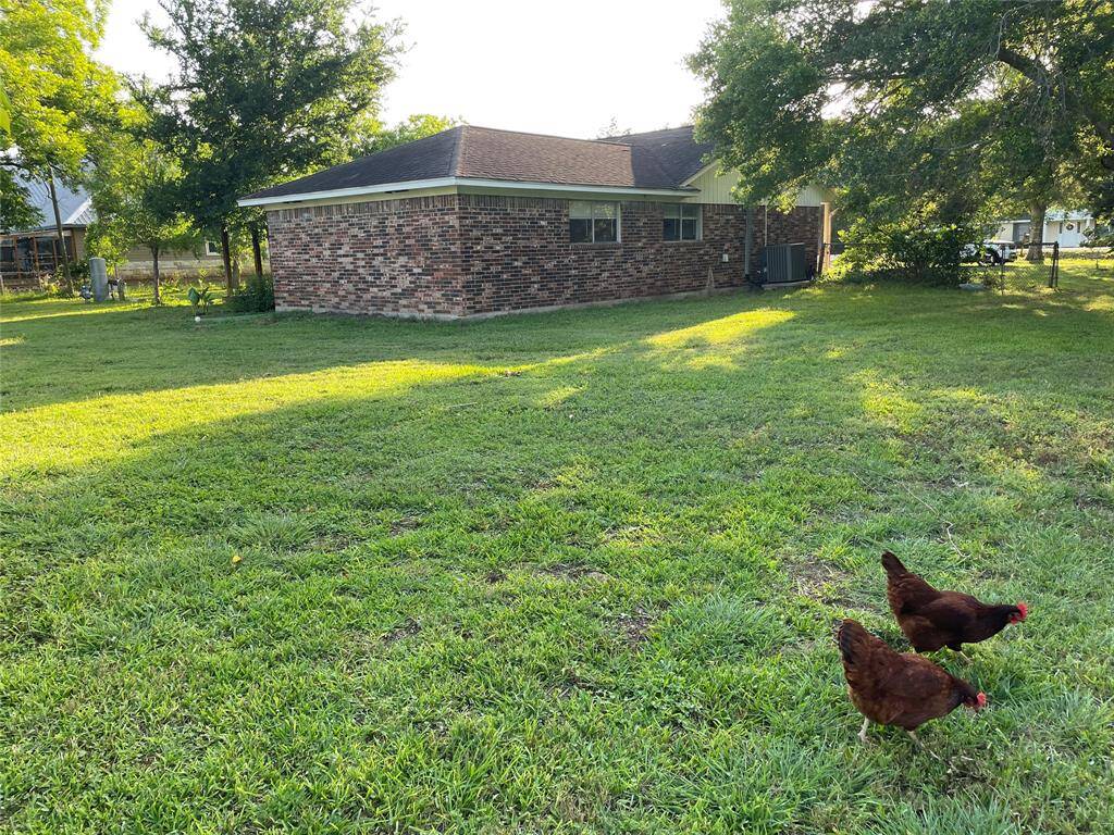 Don't buy eggs, raise your own chickens!