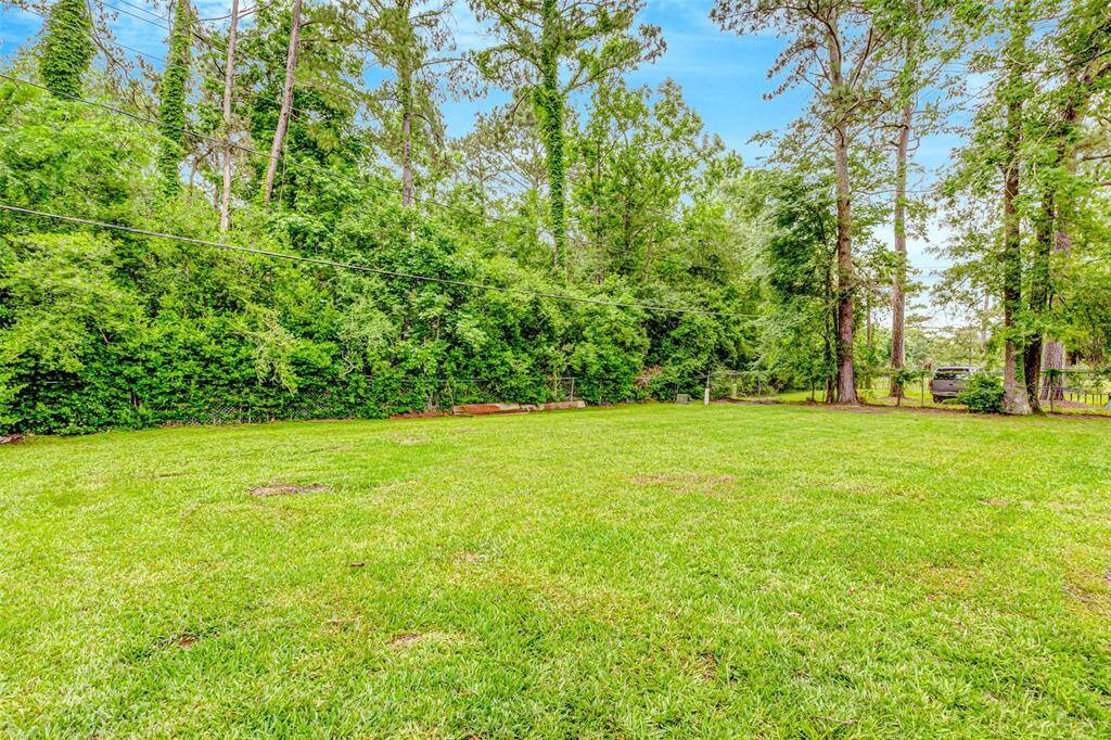 Expansive and lush backyard, perfect for relaxation and outdoor activities.