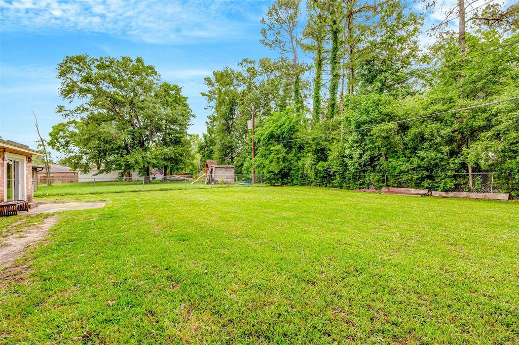 Expansive backyard with lush greenery, perfect for outdoor activities and relaxation.