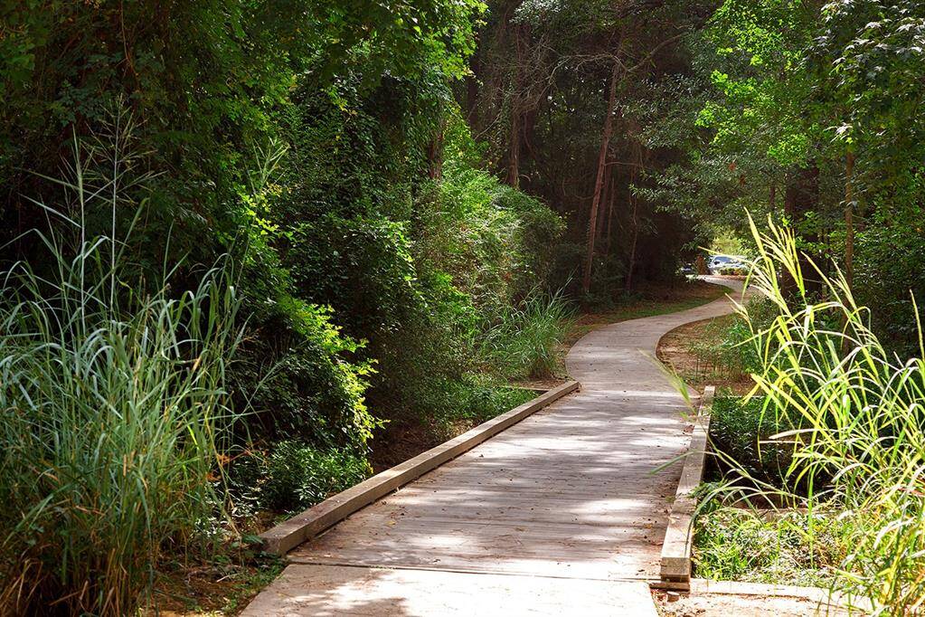 Miles of shady hike and bike trails