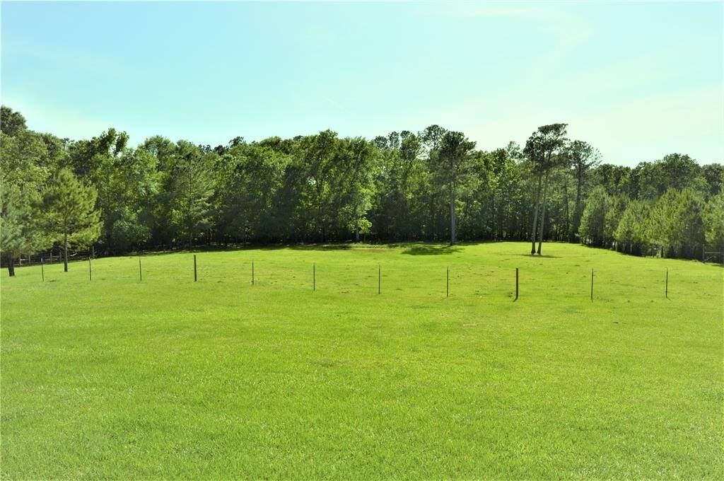 Right Pasture