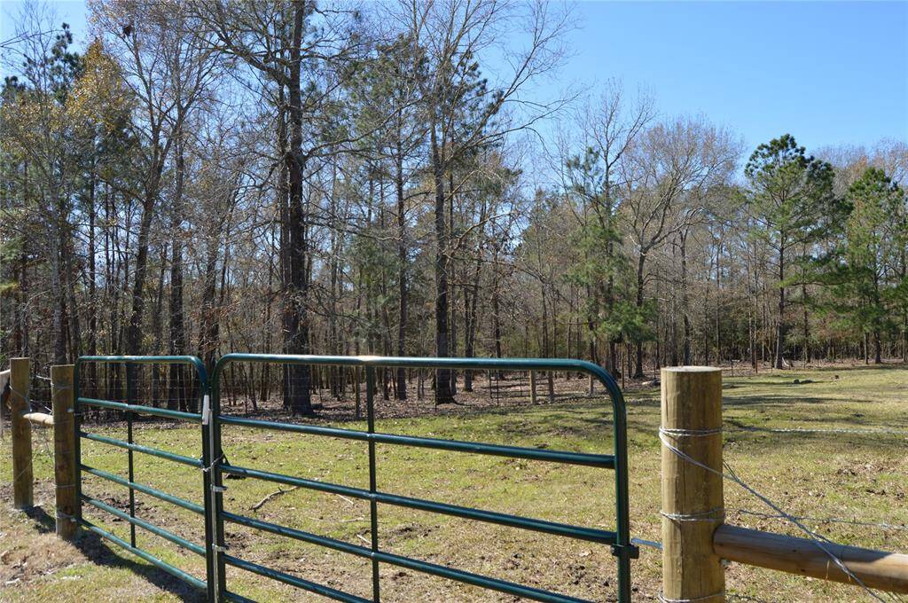 Gate to right pasture, second gate to wooded middle