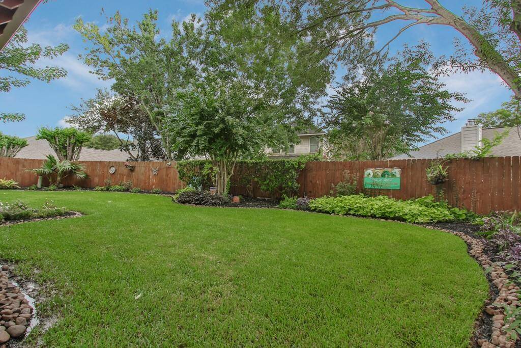 Backyard Oasis
