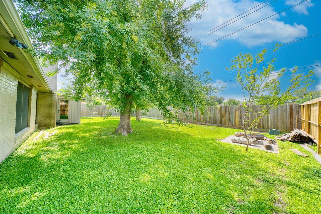 Large Backyard
