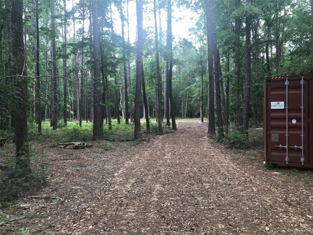 Entry Driveway