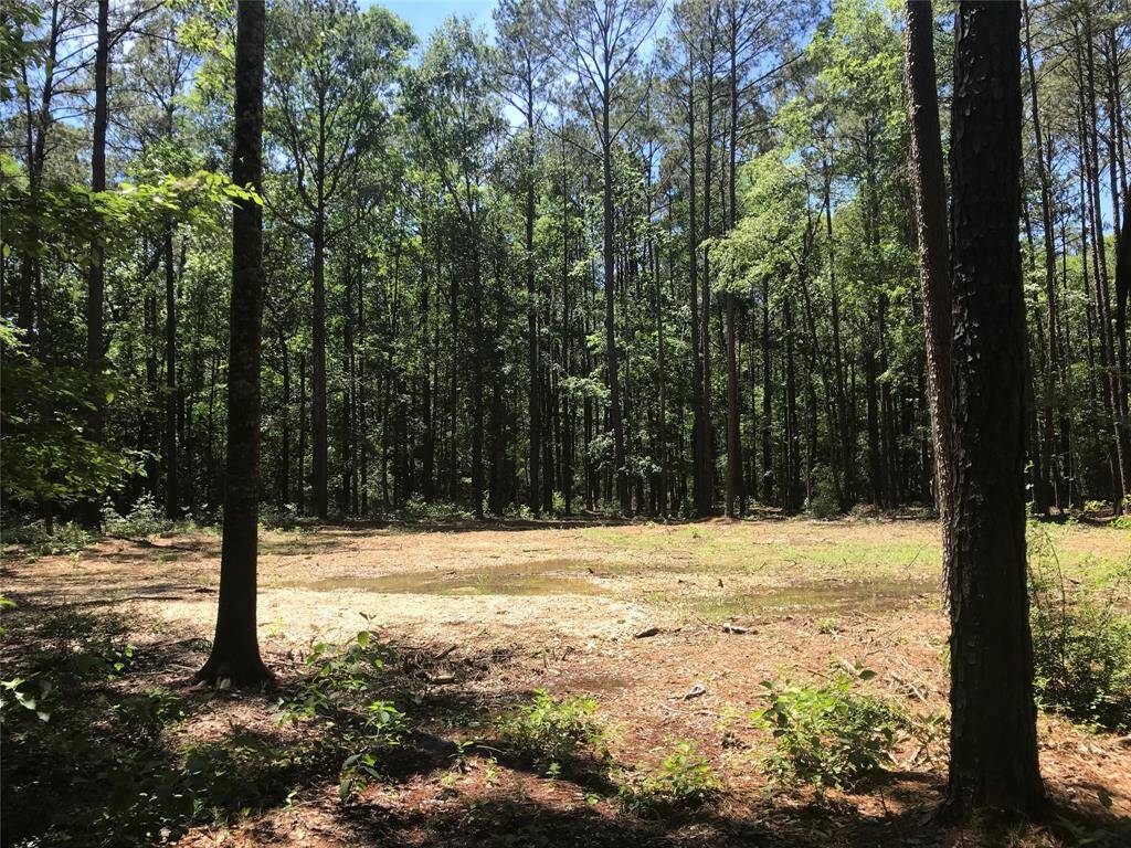 Homesite