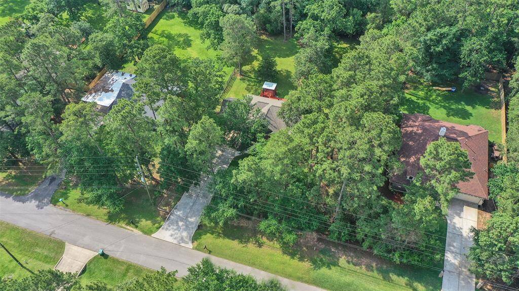 Large mature trees and buffers between neighbors