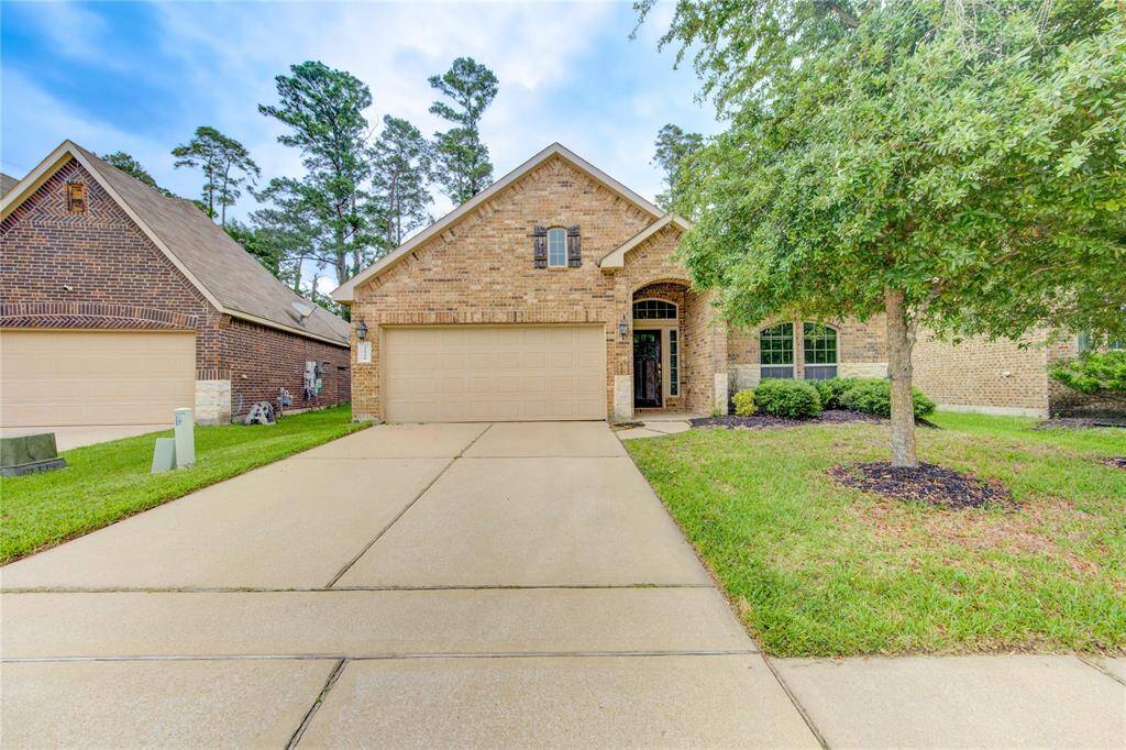 Front yard / Driveway