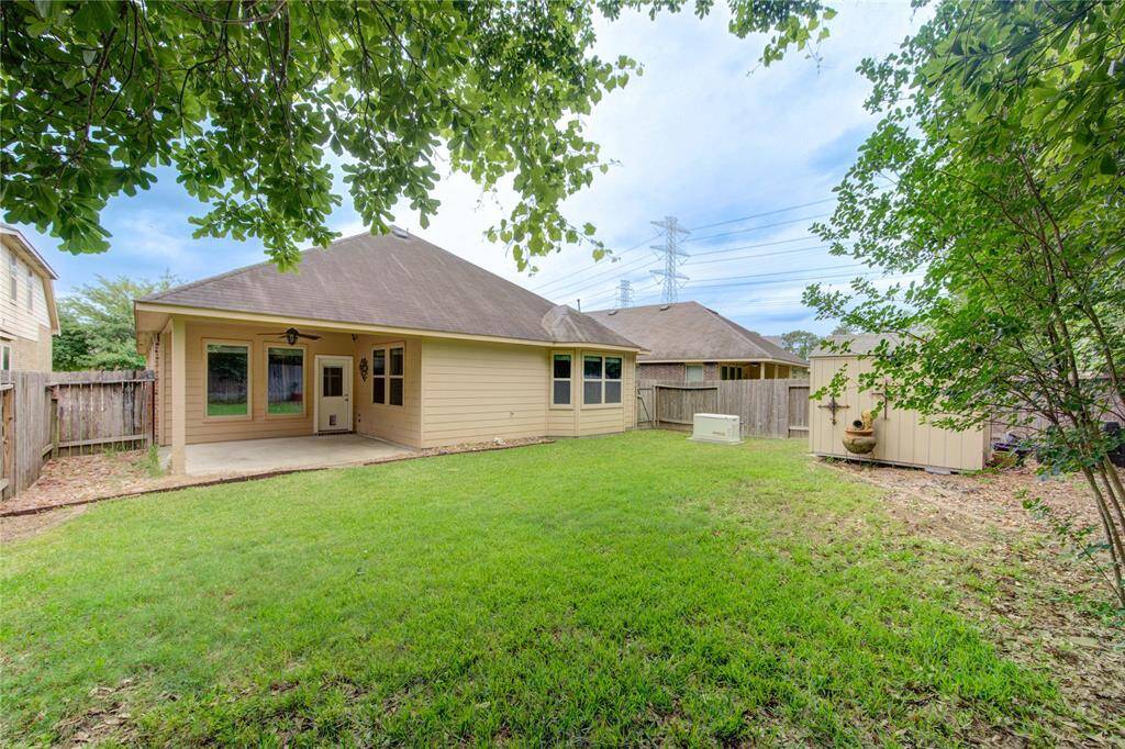 Spacious back yard