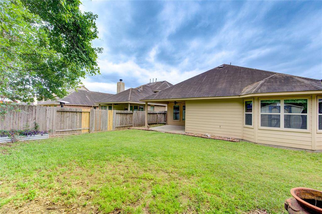 Spacious back yard