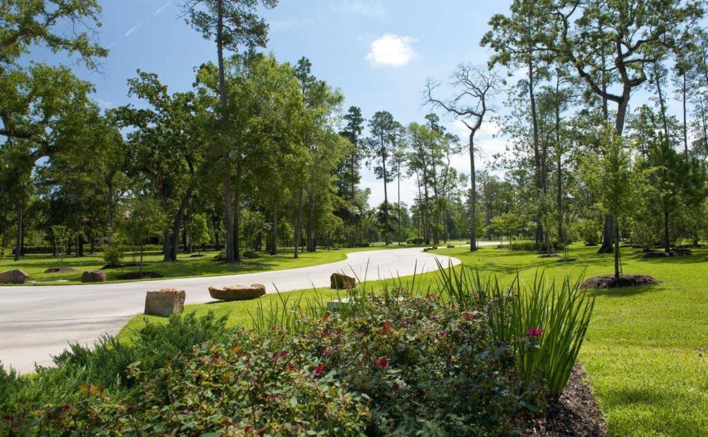 Beautiful Walking Trails
