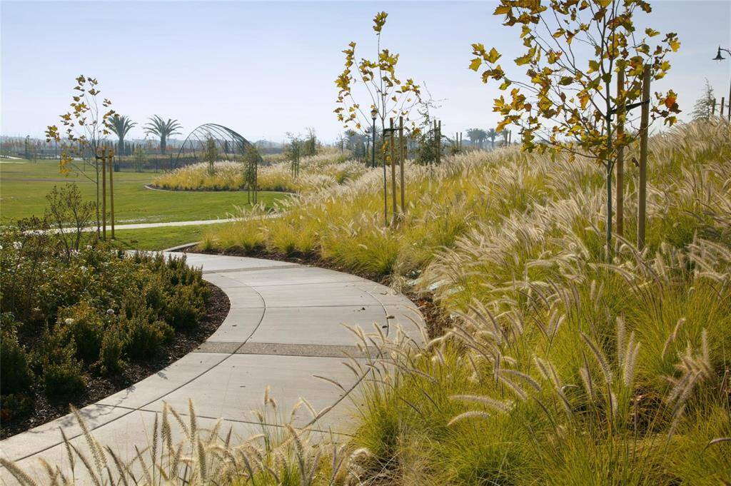 Miles & miles of pathways through parks creeks & lakes surrounded by ornamental grasses and trees. The area offers a tranquil and natural setting with open green spaces and distant views of palm trees.