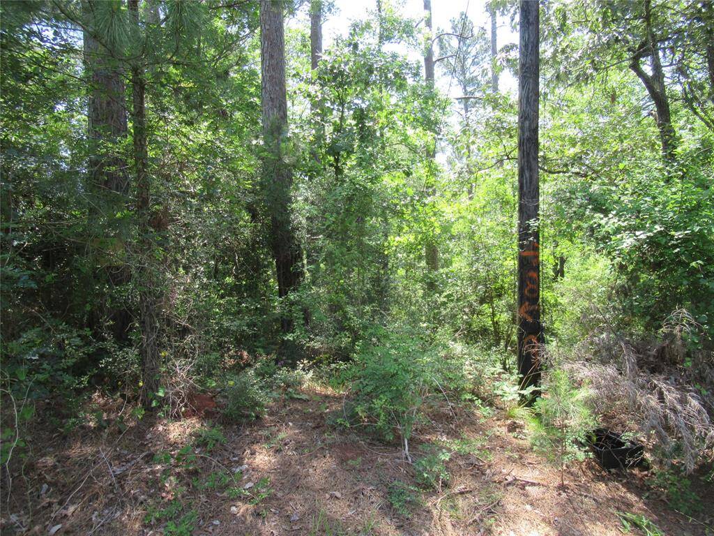 Another view of lot 8.
