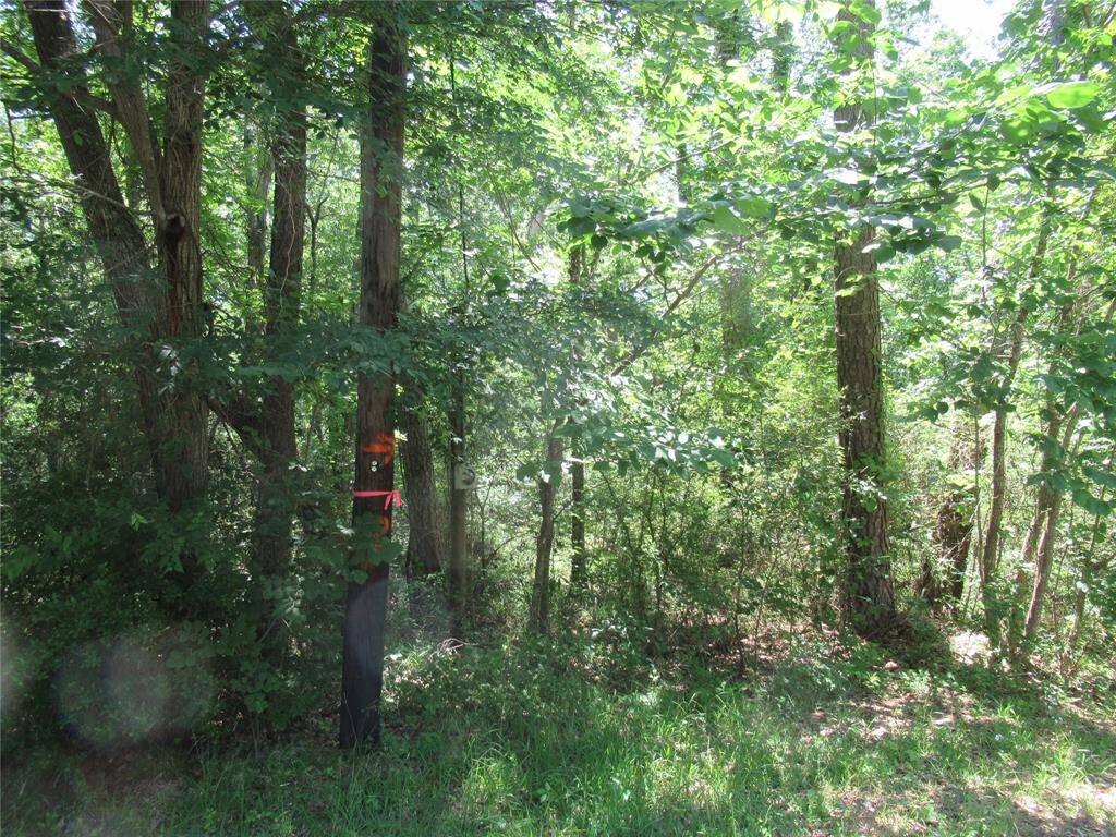 13 TOTAL LOTS AVAILABLE FOR SALE. IN THIS GREAT SUBDIVISION ON LAKE LIVINGSTON.