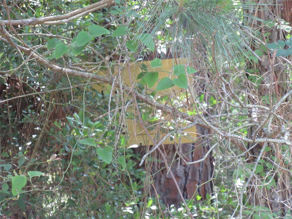 This yellow marker is on one of the lots.