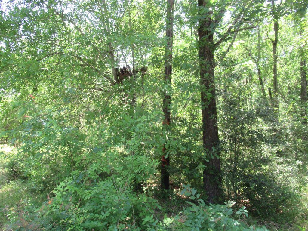 All lots are wooded.  Some more than others.