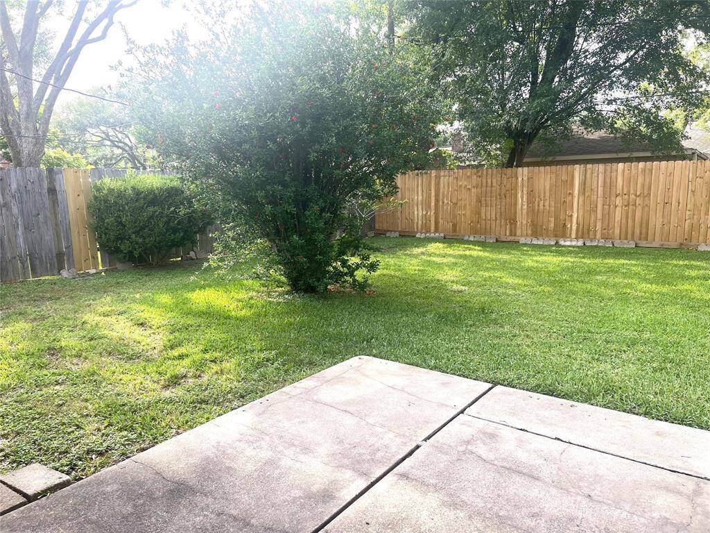 Beautiful Backyard