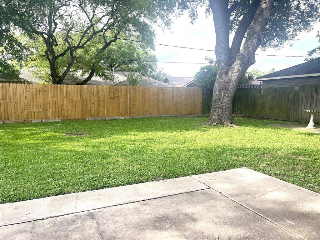 Nice large yard!