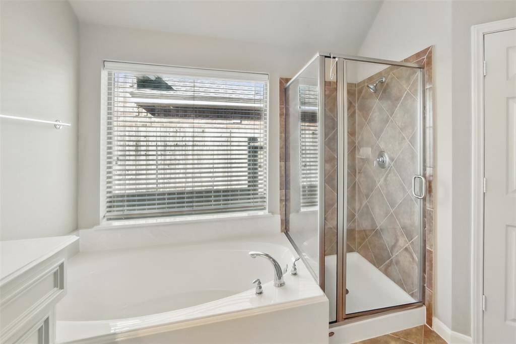 Primary Shower and Bathtub
