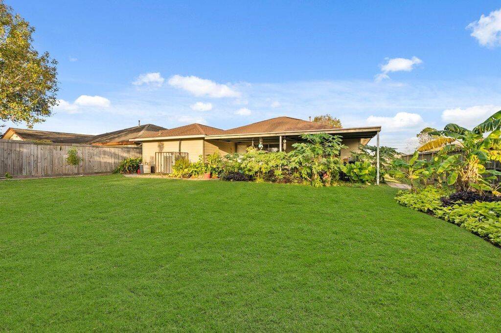 Back yard